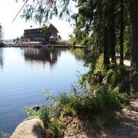 IMG_4749.JPG